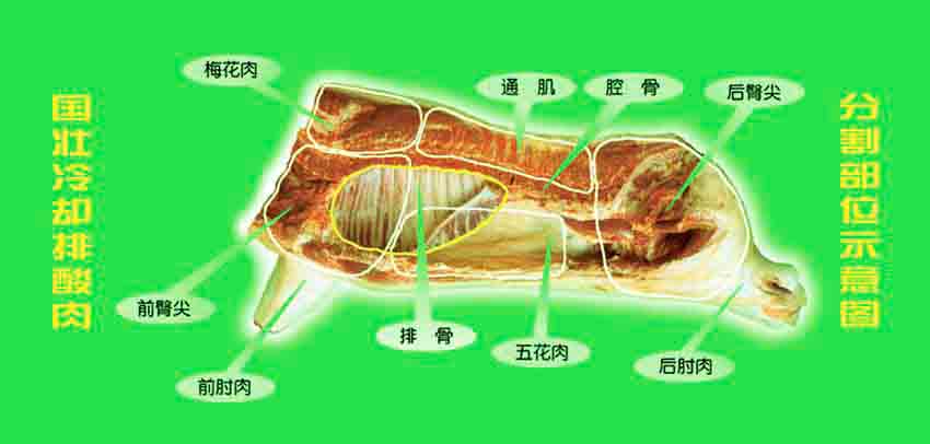 生鲜猪肉分割图